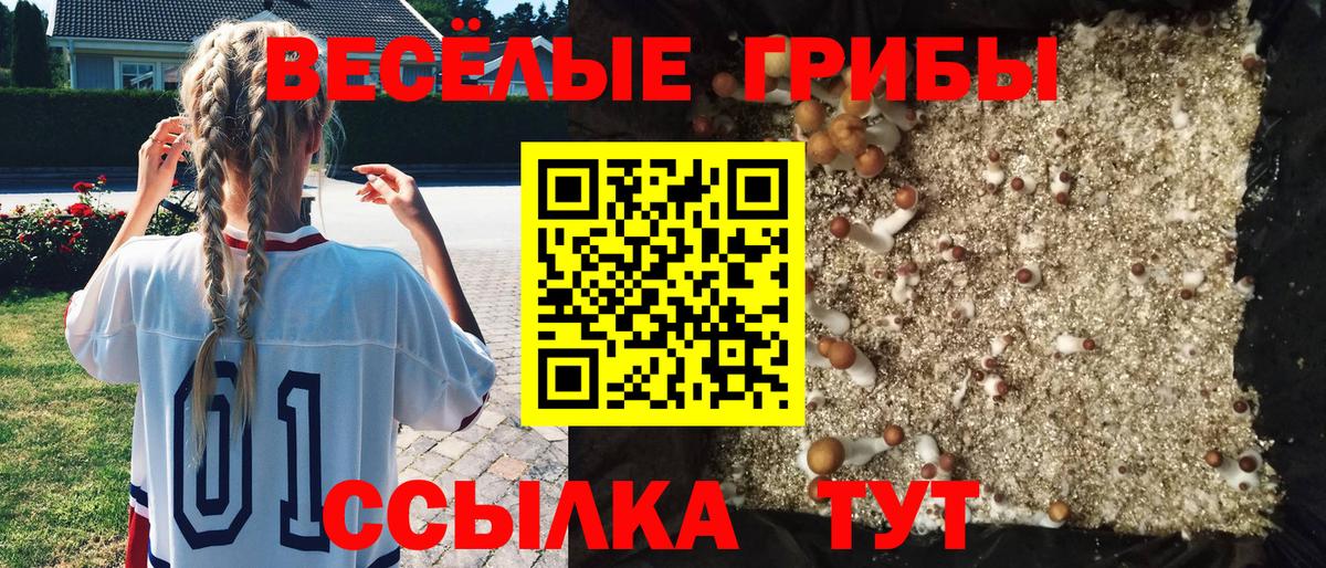 Псилоцибиновые грибы Cubensis Истра