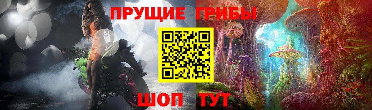 где купить наркоту  Псилоцибиновые грибы GOLDEN TEACHER  Вход с VPN  Истра 